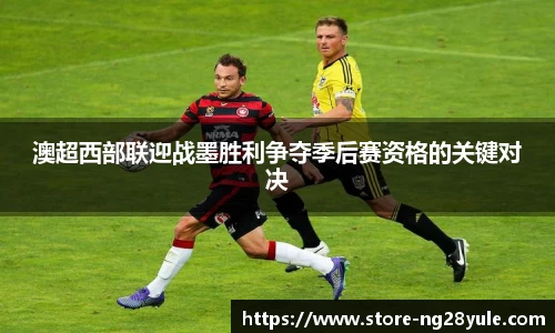NG28登录入口